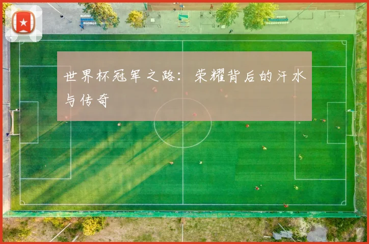世界杯冠军之路：荣耀背后的汗水与传奇