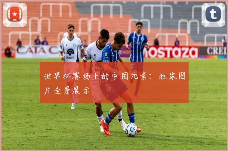 世界杯赛场上的中国元素：独家图片全景展示